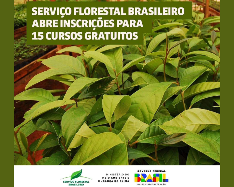 Serviço Florestal Brasileiro